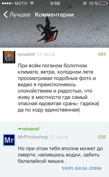 Смешные комментарии из социальных сетей