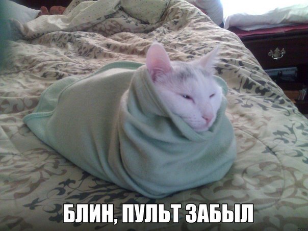 А давайте улыбнёмся