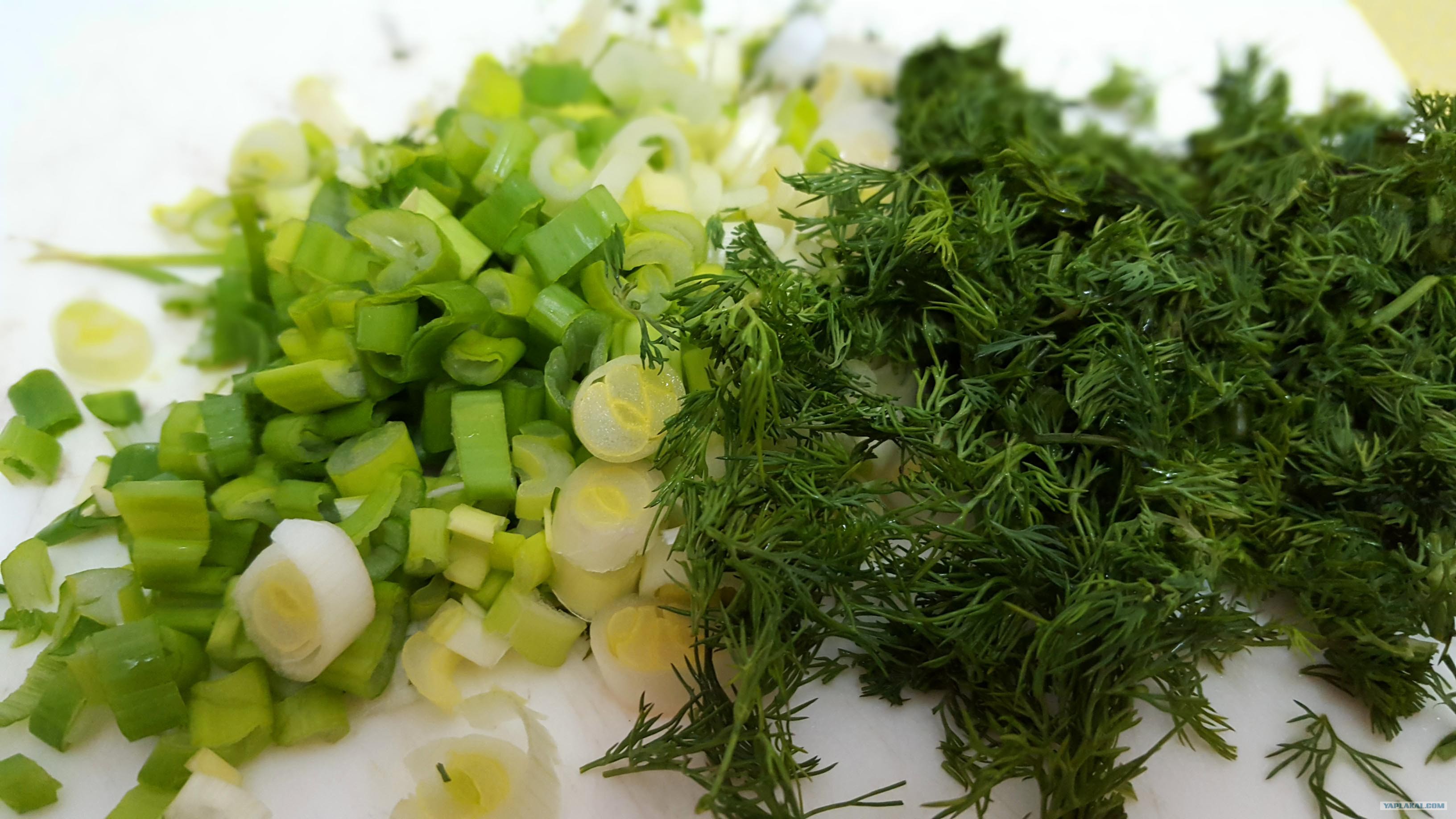 Салат огурцы укроп на зиму. Зелень лук укроп петрушка. Зелень укроп салат. Салат из крапивы с яйцом и зеленым луком. Салат из крапивы с яйцом.
