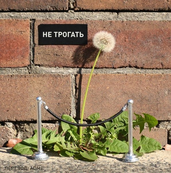 Интересные и веселые картинки