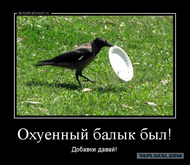Хочу наказать воришек. Жду ваш совет