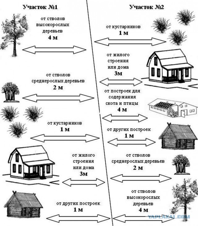 Соседи устроили скотоферму в коттеджном поселке