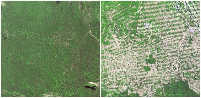 Было - Стало. 10 фактов того, что наша планета может прекратить существование