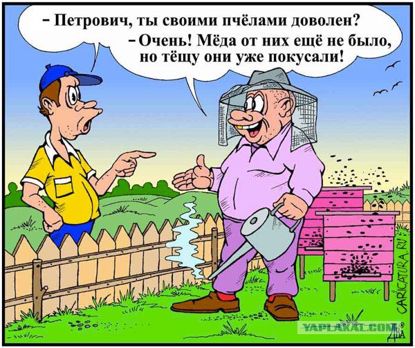 Как правильно выбрать  мёд