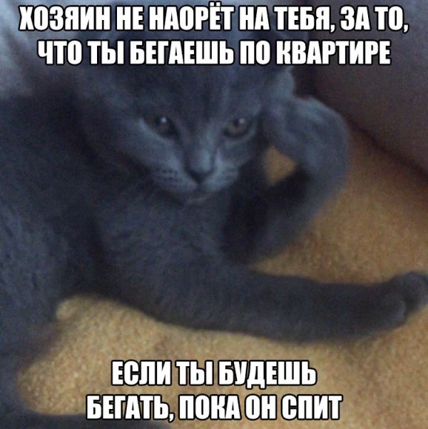 Подборка безудержного веселья