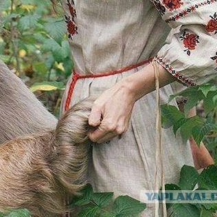 Подборка интересных и веселых картинок
