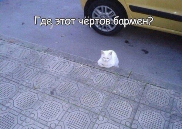 Приколы в стиле "регресс"
