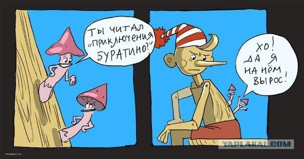Немного нестандартного юмора в картинках