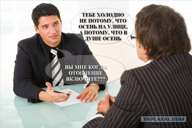 Чернь и деградация к выходным