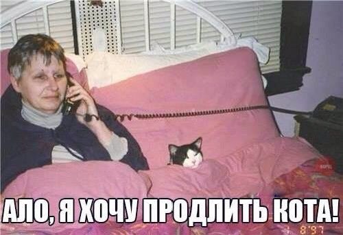 Тупик эволюции