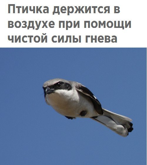 Немного картинок в эту субботу
