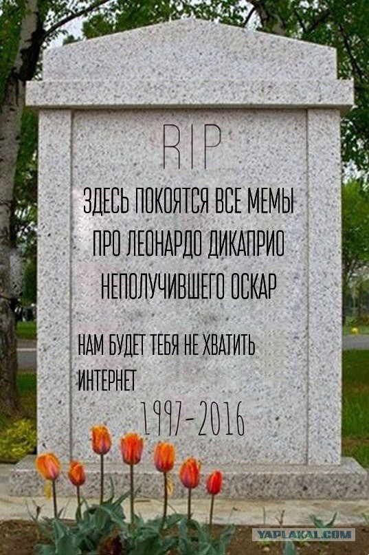 Происхождение интернет мемов которые мы все так любим
