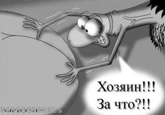Ударим по похмелью безмозглыми картинками