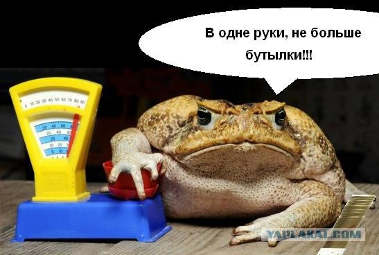 Какие пряники?! Только что кончились!