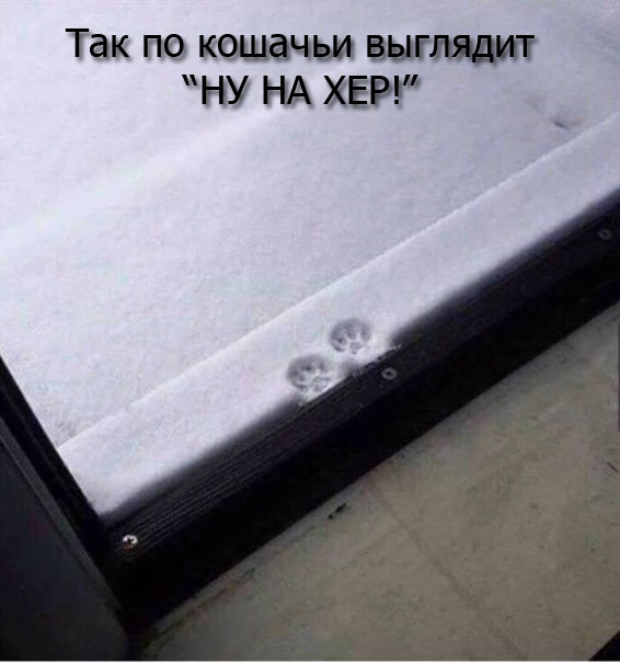 Картинки разные нужны, картинки всякие важны