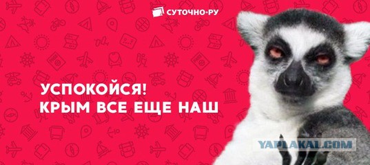 Госдума приняла в третьем, окончательном чтении закон об изоляции Рунета