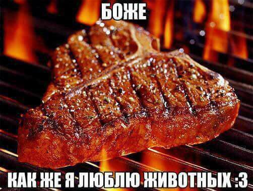 Настоящая Испания изнутри: как я ходил на корриду и стоило ли оно того - несколько слов о самой главной испанской традиции