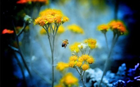 30 душевных фотографий, чтобы отдохнуть, помечтать и улыбнуться