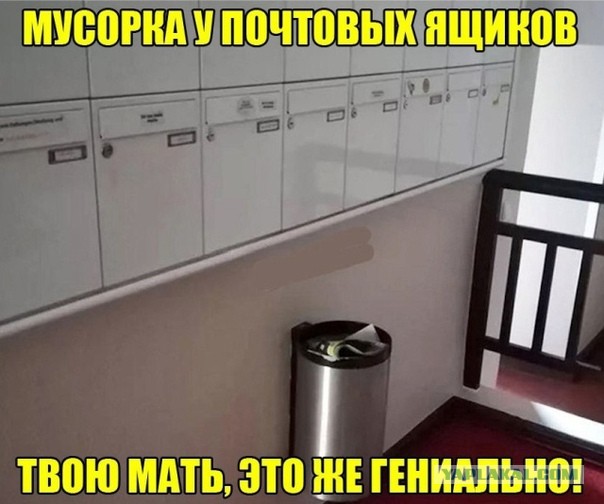 Чуток картинок 14.10.19