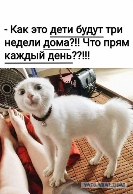 Бредзона 19.03.2020