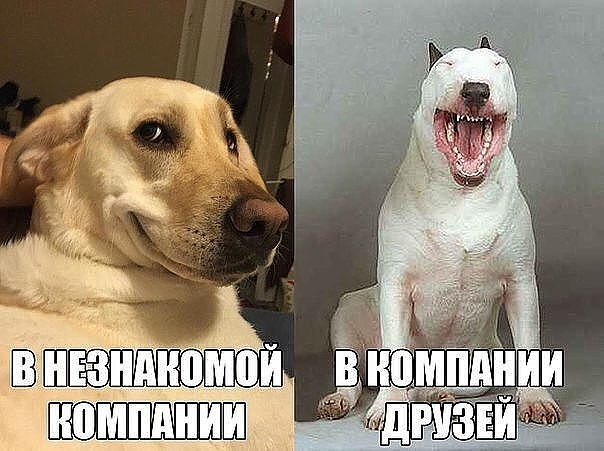 Картинки разнообразные. На злобу дня и на доброту от 05.06