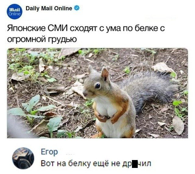 Снова пятница. И немного слегка пошлых картинок с надписями и без 16+ (04.09)