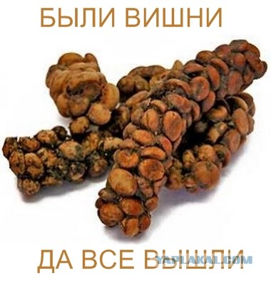 Пословицы