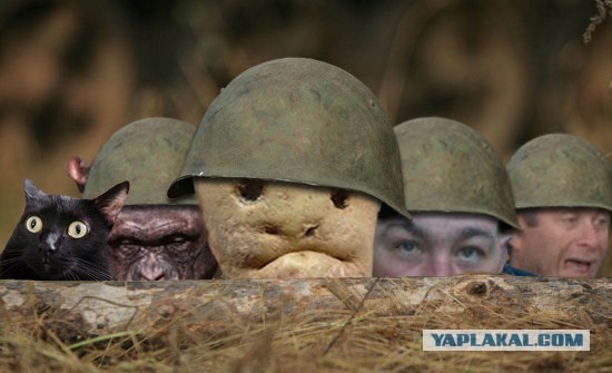 Фотожаба: И все таки они точно среди нас