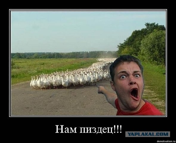 Злобный гусь