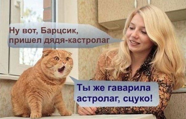 Всяческие картинки 16.06.2021