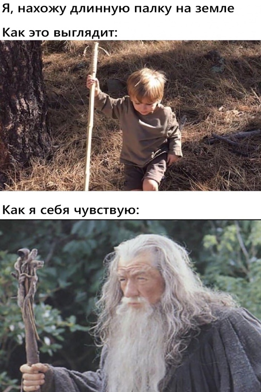 Весёлый полтишок 10.08