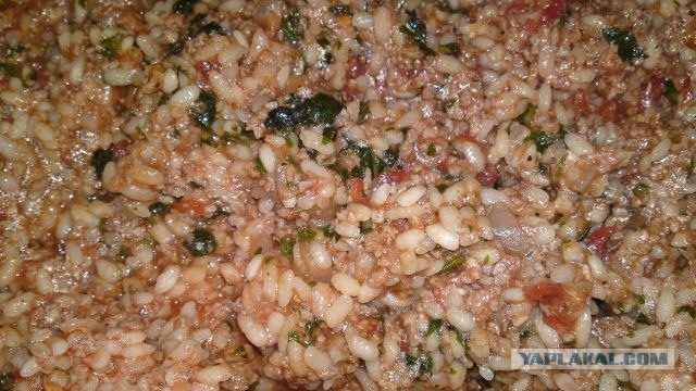 Долма с двуми начинками.