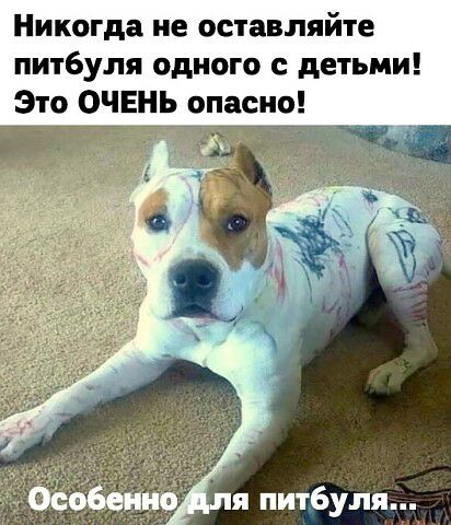 Весёлый полтишок 26.09