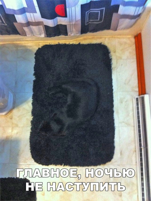 Разные картинки для настроения на любой вкус - 5