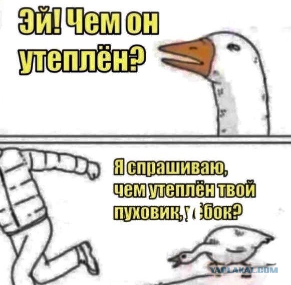 Картинки и мемы, всем прекрасных выходных