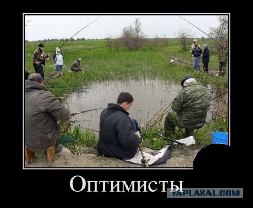 Черноморская рыбалка. Ставрида.