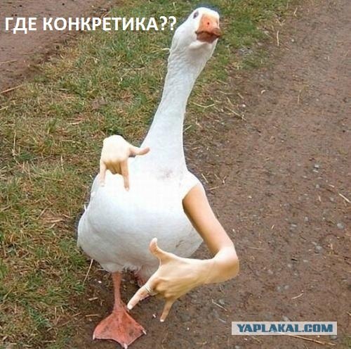 Семь отважных мужчин