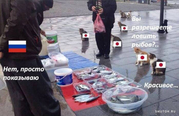 Так себе картинки 23.06.22