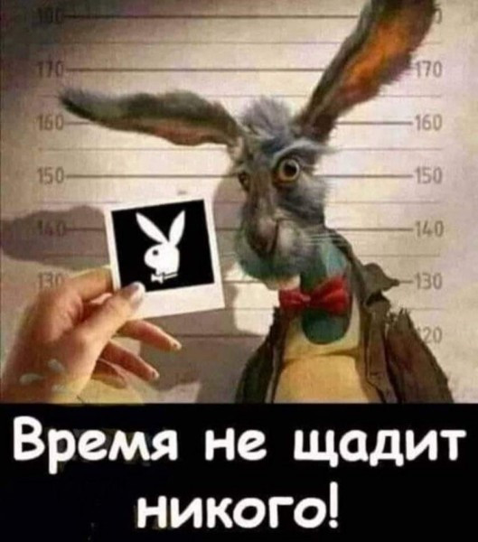 Так себе картинки 17.07.22