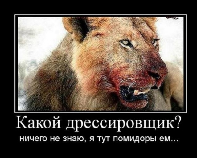 Жестокость животного мира