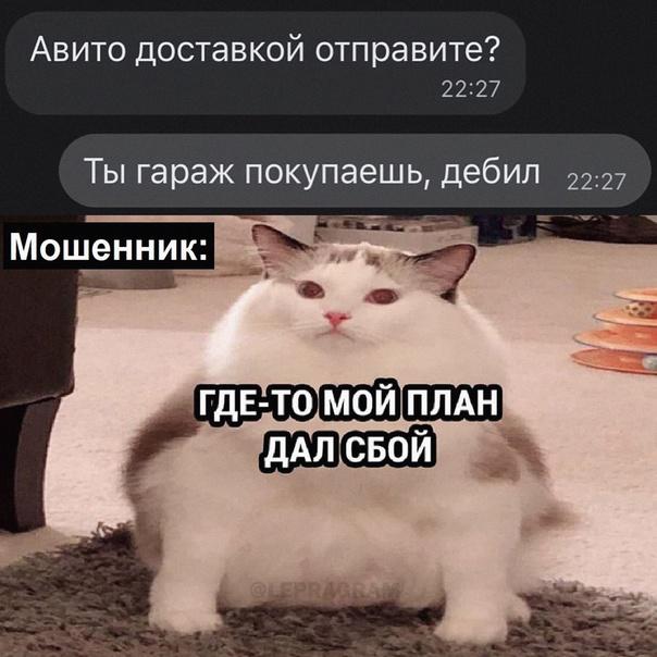 Народная меДИЧина 11.08