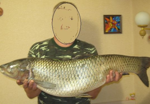 А я на рыбалке