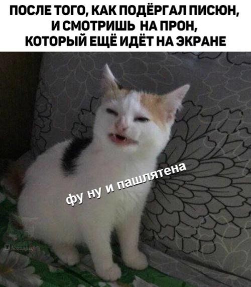 Пятница. И немного слегка пошлых картинок с надписями и без 16+ (30.12)
