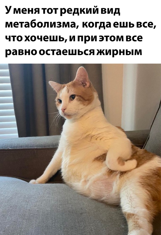 Картинки и мемы для настроения - 119