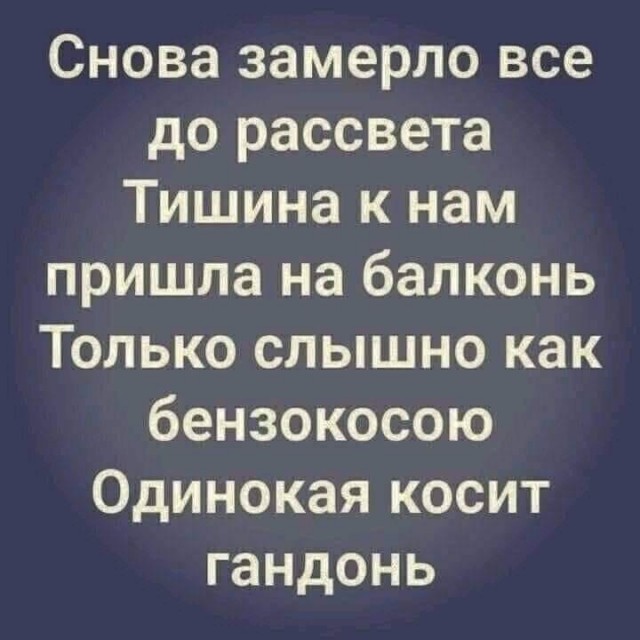 То, что видели мои друзья. Отправленные картинки за несколько лет