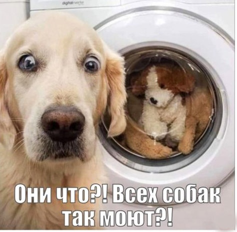Так себе картинки 24.07.23