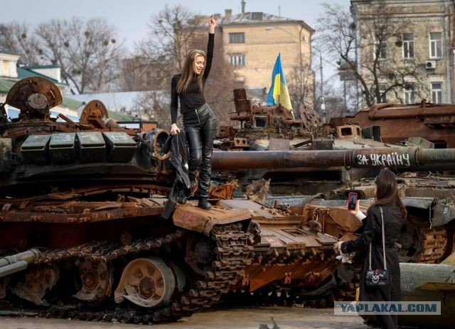 Любимец советских разведчиков. Почему на фронте ценили американский бронетранспортер «Скаут»?