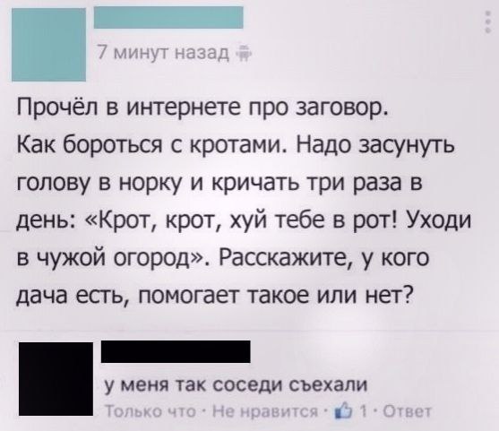 Забавные комментарии из социальных сетей (08.04.24)