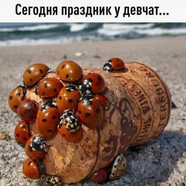 Так себе картинки 04.05.24