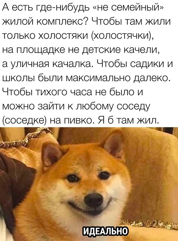 Так себе картинки 31.05.24